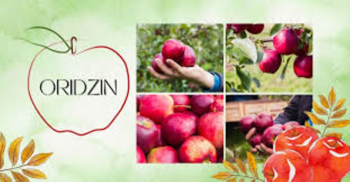 Oridzin: A Powerful Flavonoid with Anti-Inflammatory and Antioxidant Properties