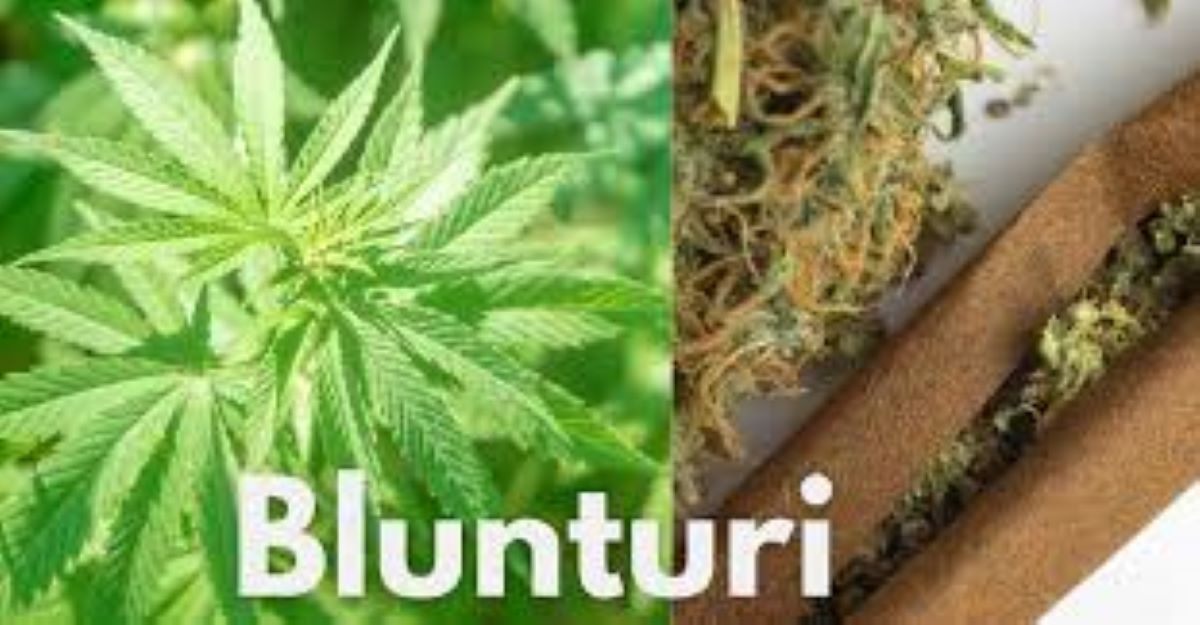 Blunturi