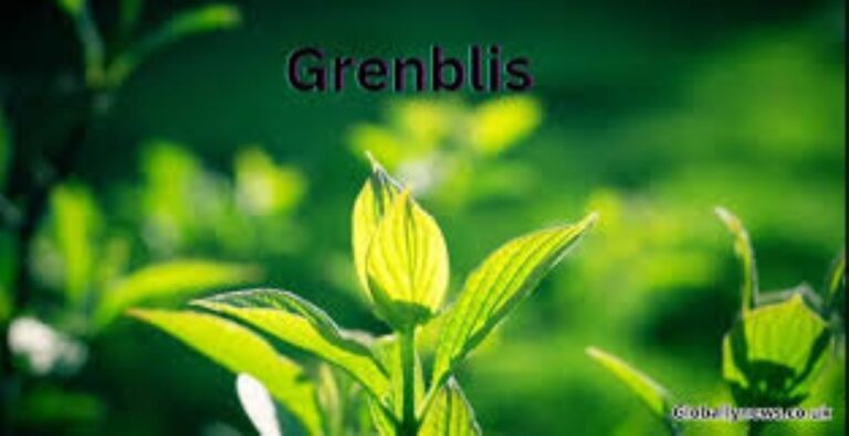 Grenblis